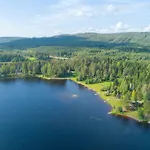 Rinnepelto