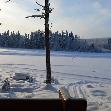 Rinnepelto Holiday home