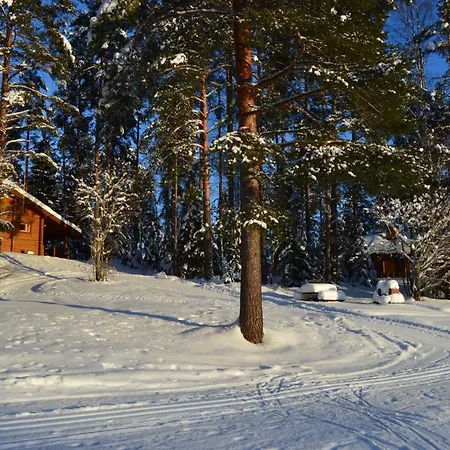 Rinnepelto